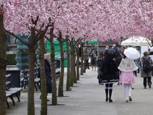 Two girls in Japan dressed in Lolita fashion, seen from the back walking away.