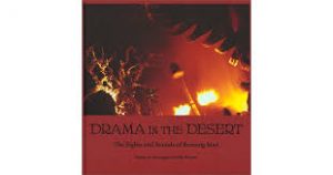 Drama in the Desert book